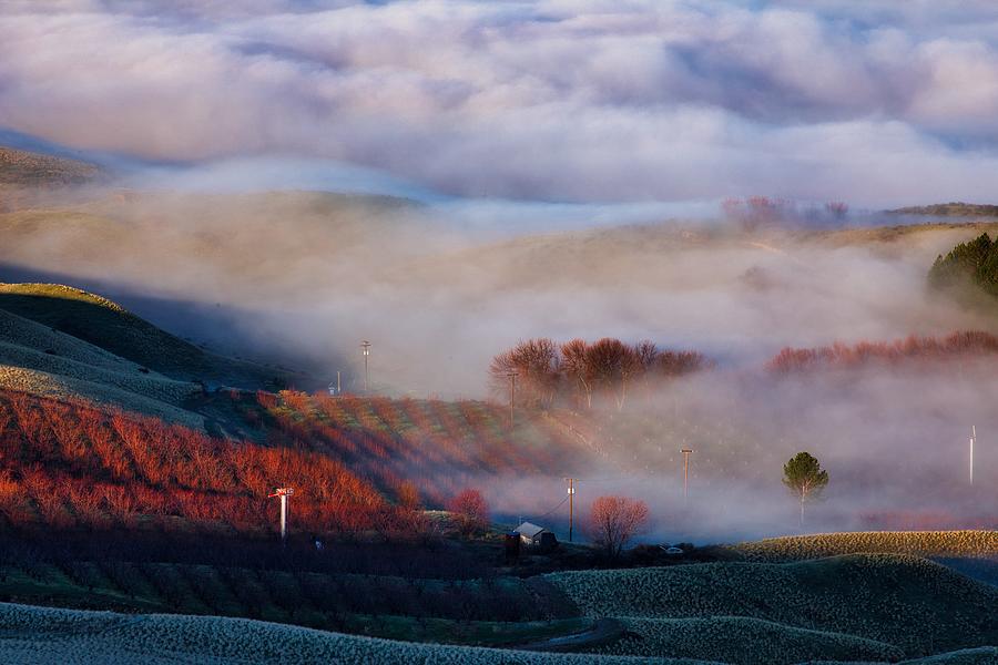 Foggy morning in Prosser Photograph by Lynn Hopwood