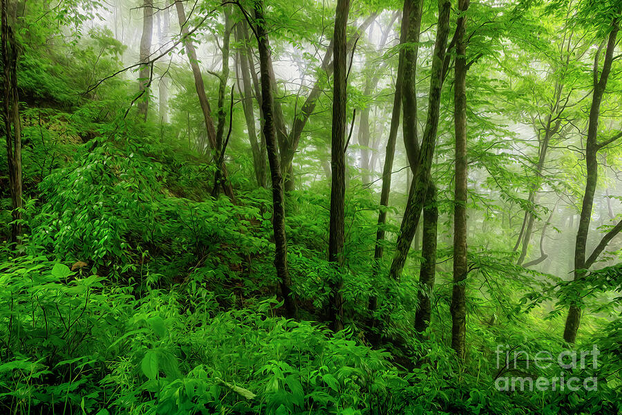 Foggy Morning in the Blue Ridges Painting by Shelia Hunt