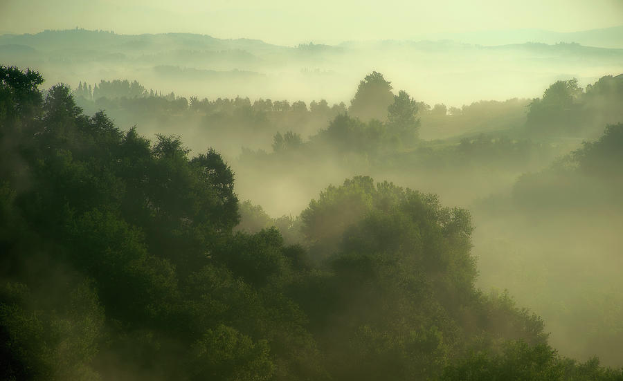 Foggy morning in Tuscany Photograph by Stefan Knauer