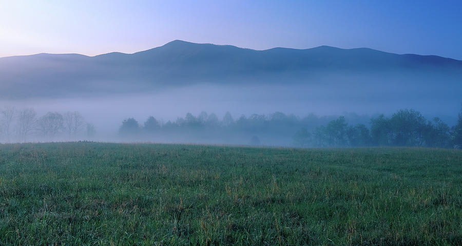 Foggy Morning Landscape Cades Cove Tennessee Photograph by Dan Sproul