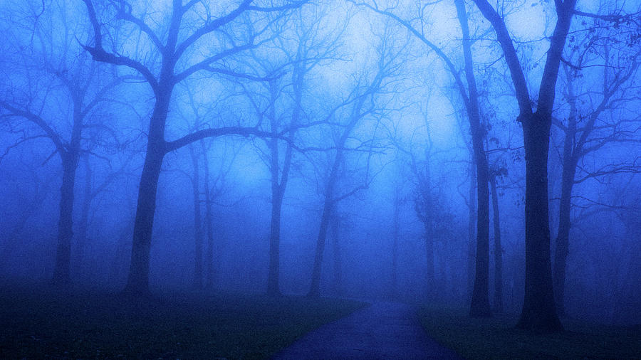 Foggy Morning - Lockport, Illinois Photograph by David Morehead