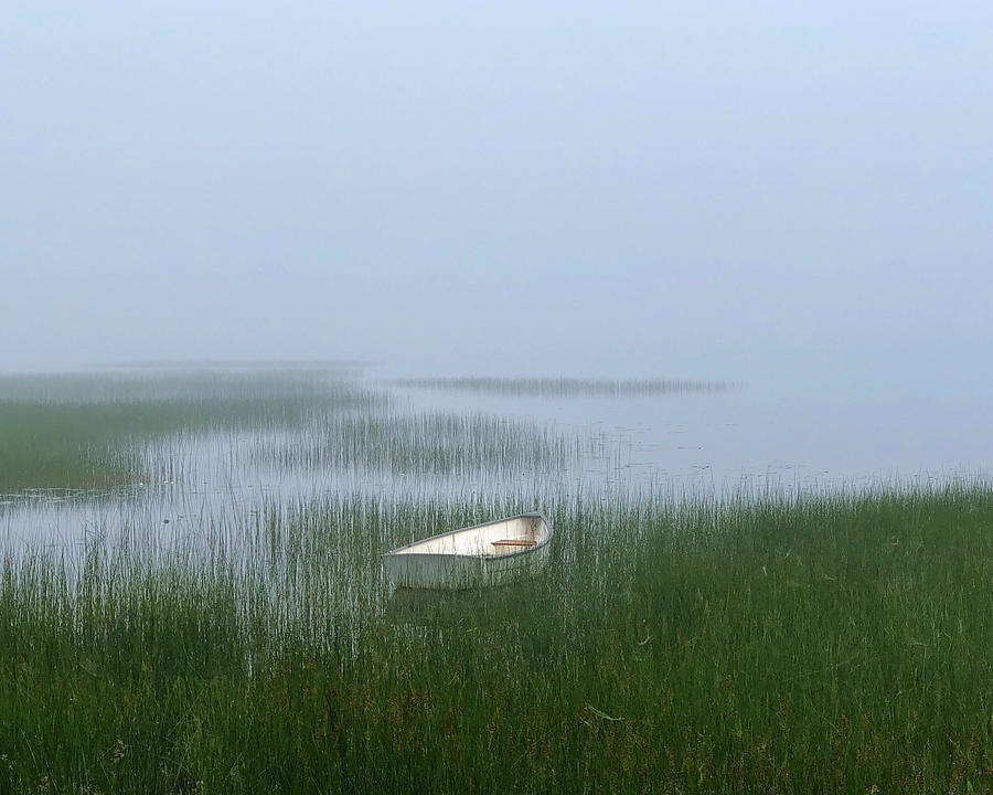 Foggy Morning Photograph by Mark Truman