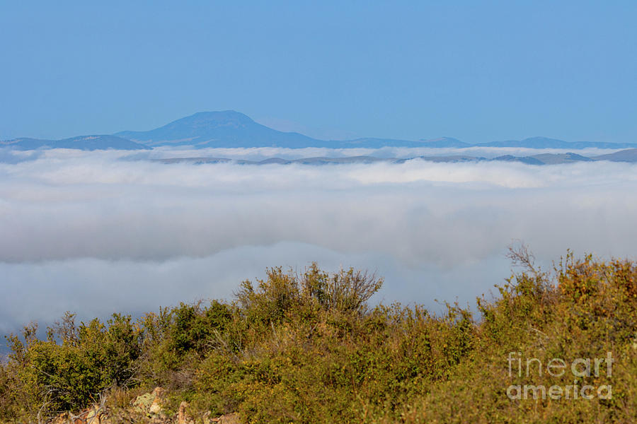 Foggy Morning on Grouse Mountain Photograph by Steven Krull