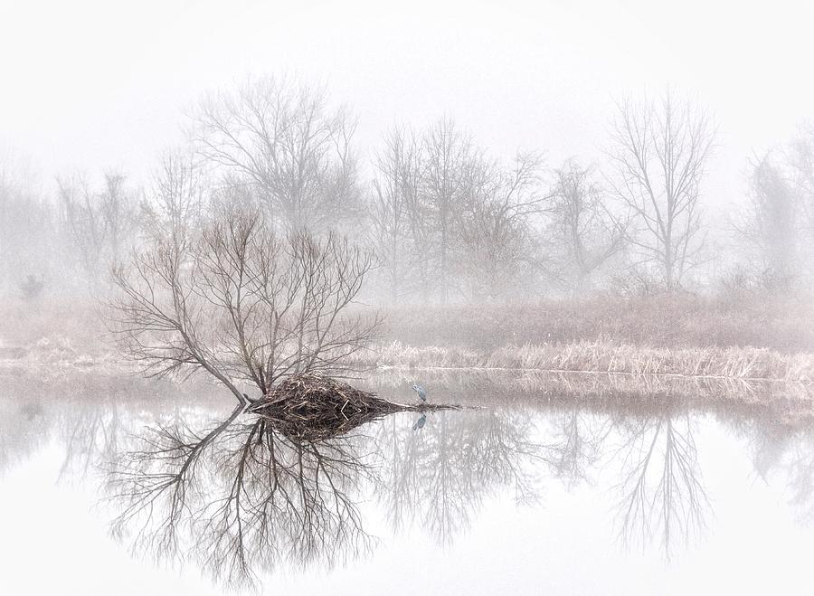 Foggy Morning On Heron Pond Photograph