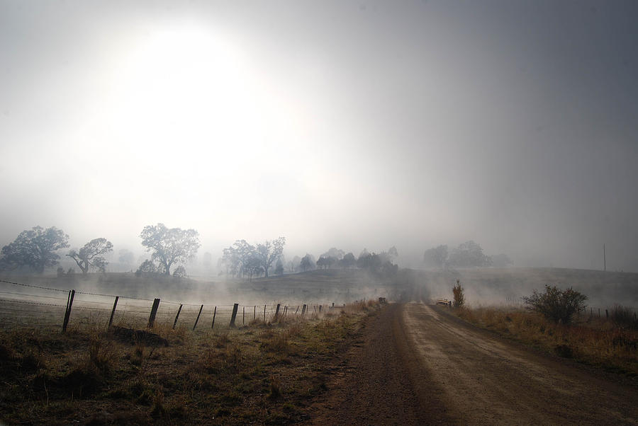 Foggy morning on Long Lane, Mansfield Victoria Photograph by Image by Billie Leatham