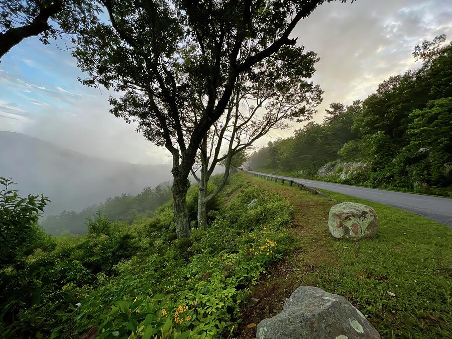 Foggy Morning on the Blue Ridge Parkway Photograph by Deb Beausoleil Foggy Morning on the Blue Ridge Parkway Photograph by Deb Beausoleil