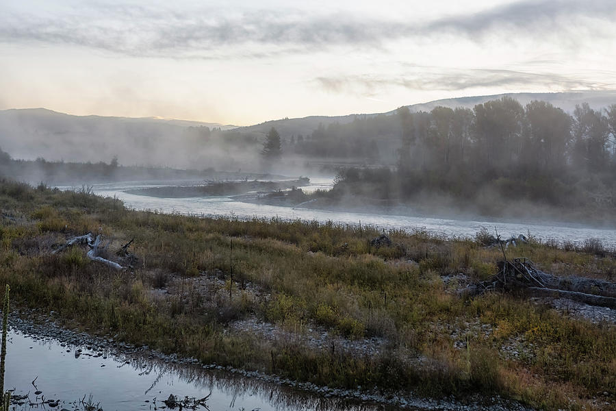 Foggy Morning on the Gros Ventre River, No. 1 Photograph by Belinda Greb