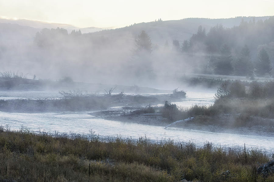 Foggy Morning on the Gros Ventre River, No. 2 Photograph by Belinda Greb