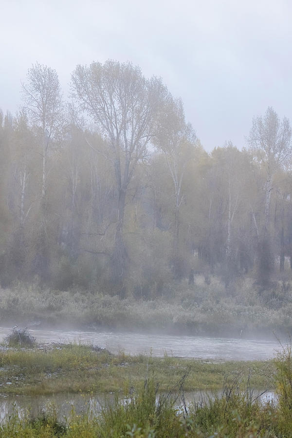 Foggy Morning on the Gros Ventre River, No. 3 Photograph by Belinda Greb