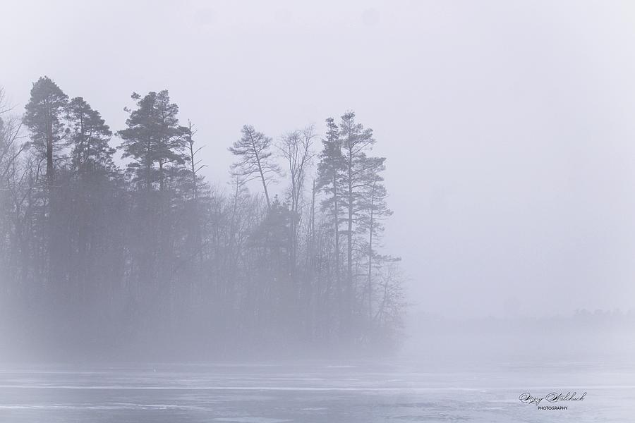 Nature Photograph - Foggy Morning on the Lake by Mary Walchuck