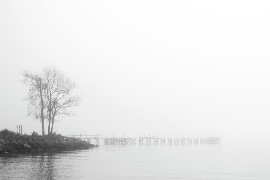 Foggy Morning on the Neuse River Near Oriental North Carolina Photograph by Bob Decker