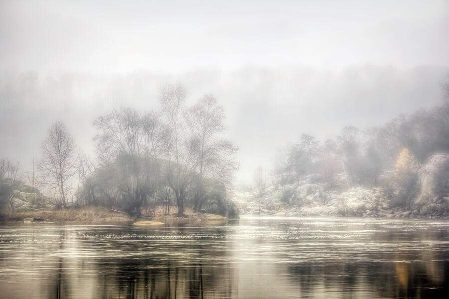 Tree Photograph - Foggy Morning on the Potomac by Francis Sullivan