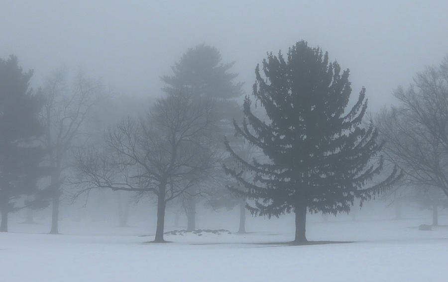 Foggy Morning on the Riverton Golf Course Photograph by Linda Stern