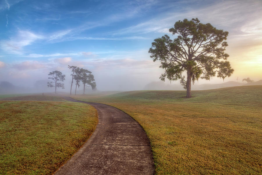 Foggy Morning Path Photograph by R Scott Duncan