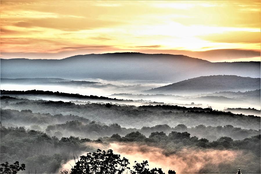 Foggy Morning Sunrise  Photograph by Kim Bemis