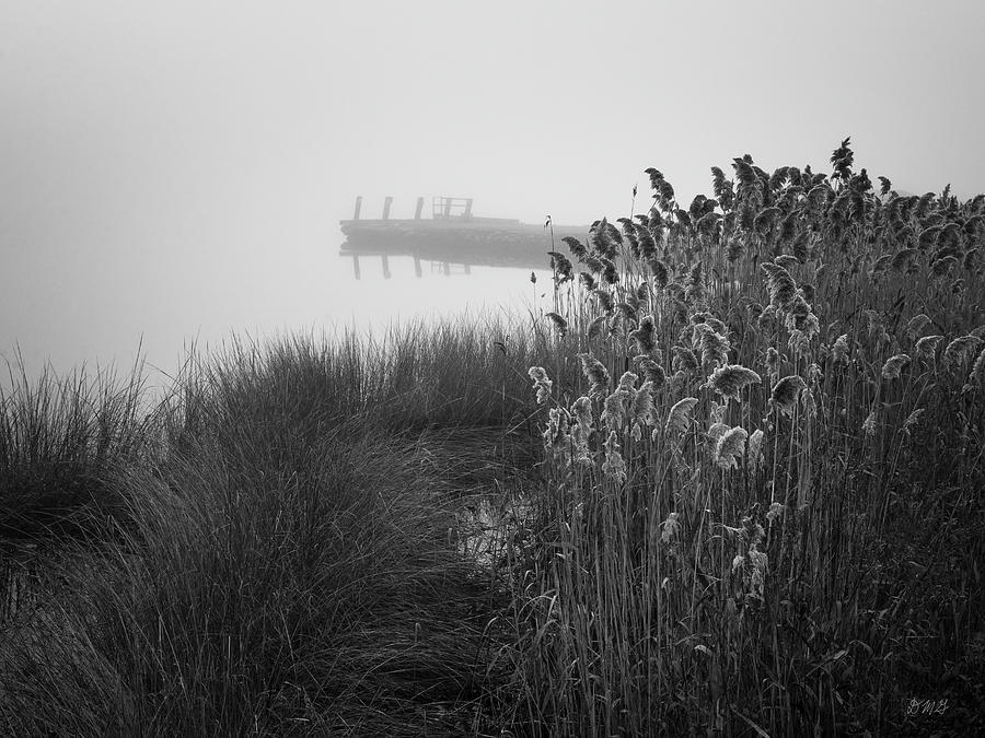 Foggy Morning Taunton River  IX BW Photograph by David Gordon