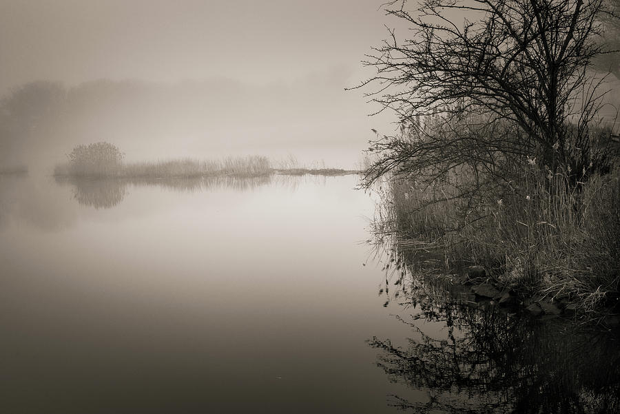 Black And White Photograph - Foggy Morning Taunton River Toned II by David Gordon