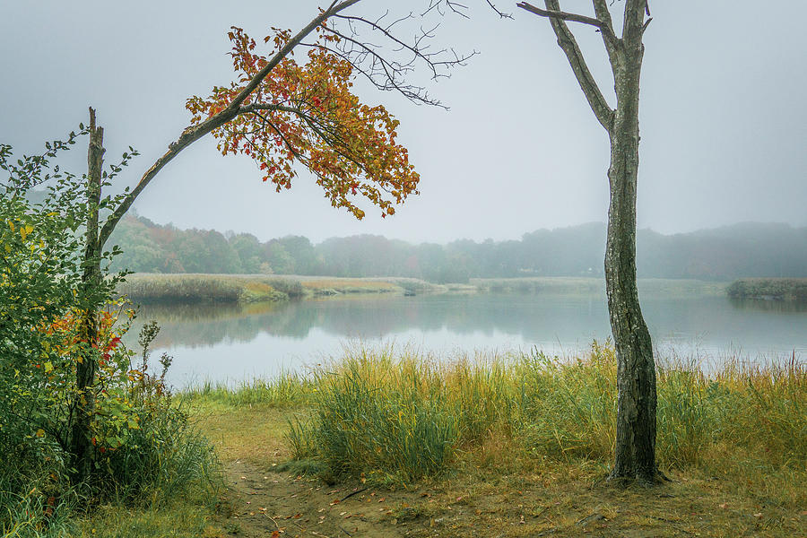 Fall Photograph - Foggy Morning Taunton River VII Color by David Gordon