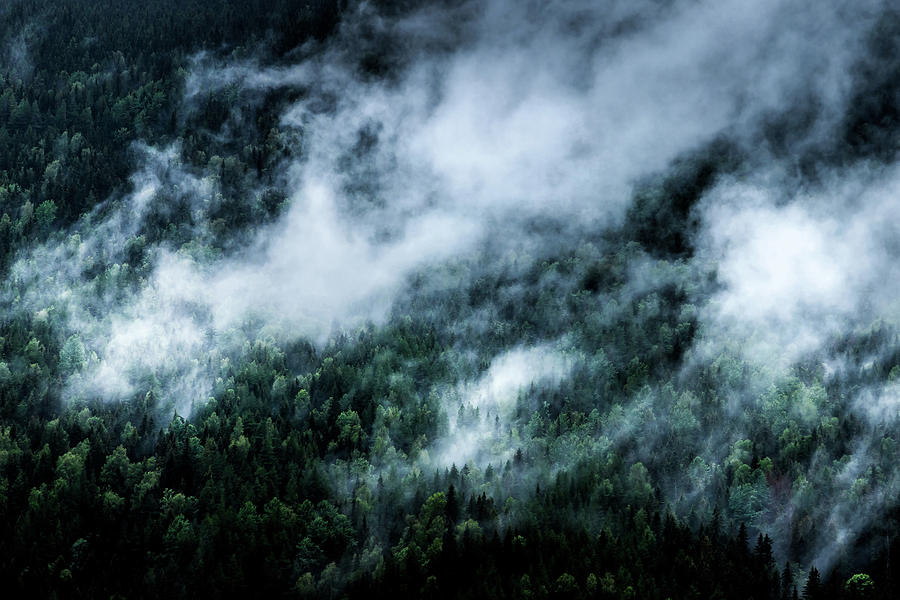 Foggy Mornings in the Mountains 4x6 Photograph by Nicklas Gustafsson
