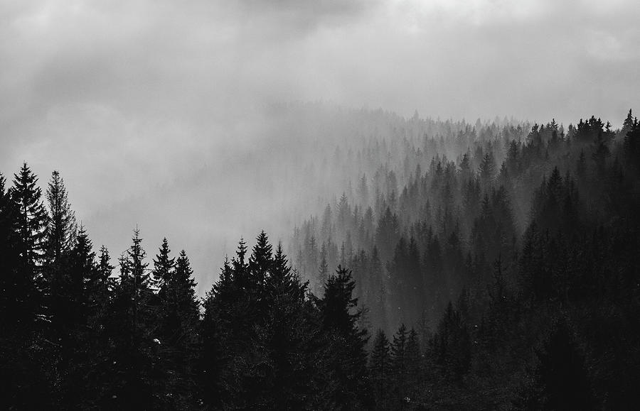 Foggy Mountain Forest Photograph by Martin Vorel Minimalist Photography ...