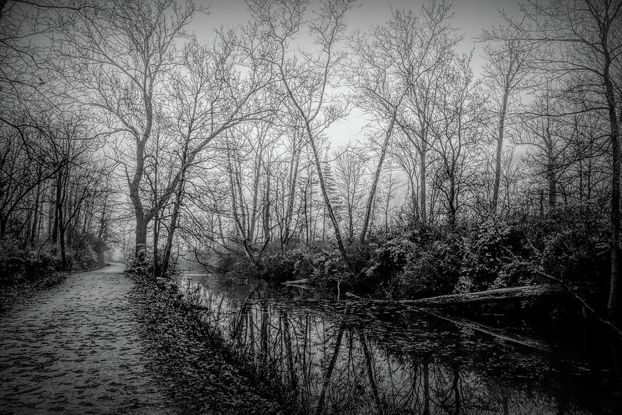 Foggy November Morning Monochrome Photograph by Dennis Lundell