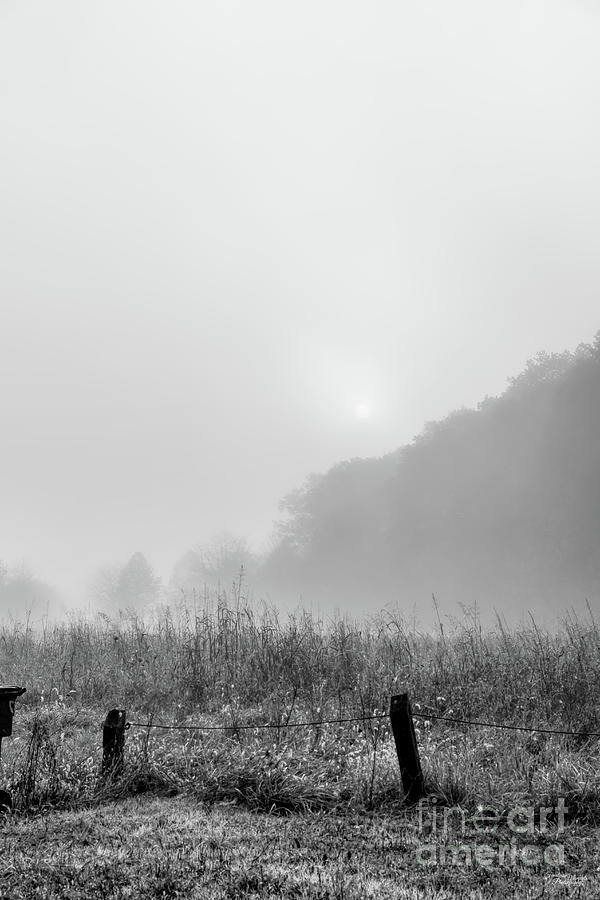 Foggy Ozarks Farm Fence Morning Grayscale Photograph by Jennifer White