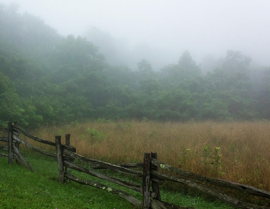 Foggy Pasture on the Blue Ridge Parkway Photograph by Charles Floyd