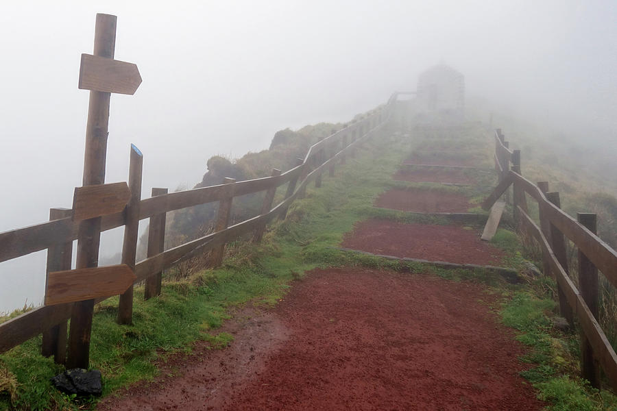Foggy Path in the Azores Photograph by John Twynam