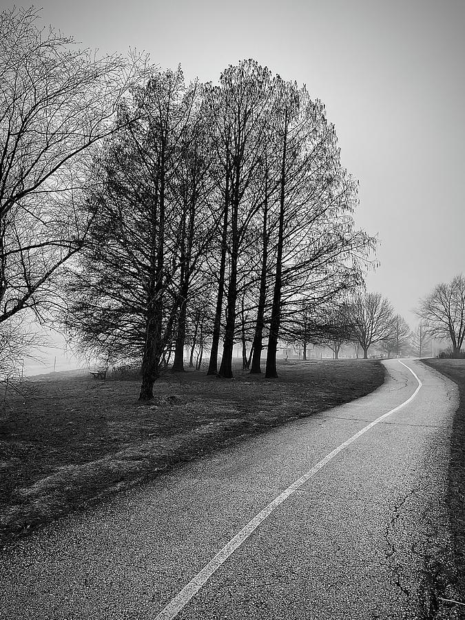 Foggy path Photograph by Jane Linders