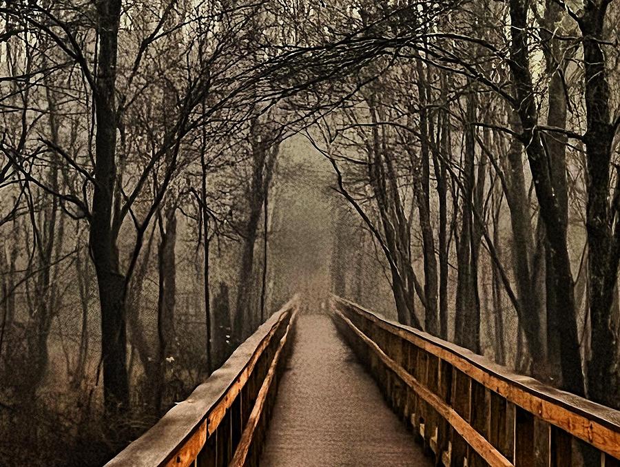 Foggy path Photograph by Stephen Dorton
