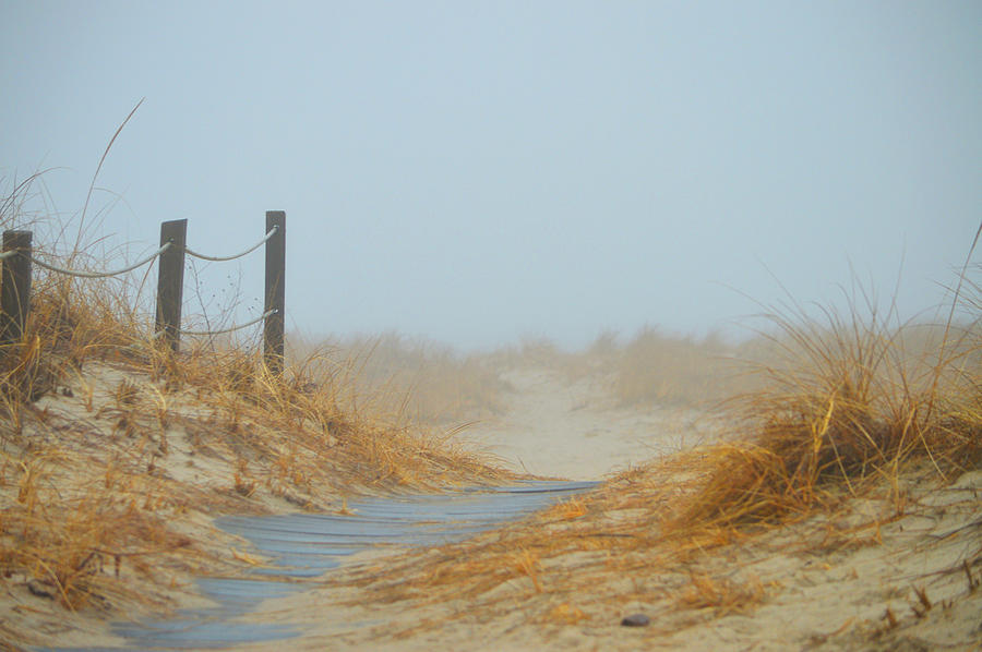 Foggy Pathway to the Ocean Photograph by Dianne Cowen Cape Cod Photography
