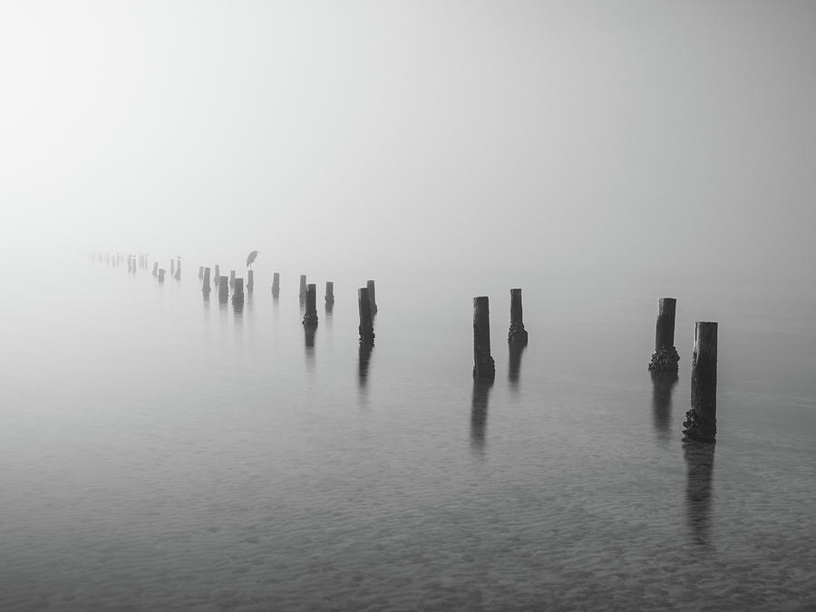 Foggy Pier In Black And White Florida Photograph by Jordan Hill