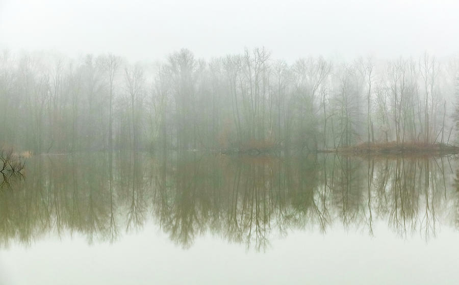 Foggy Pond Photograph by Kathleen McGinley