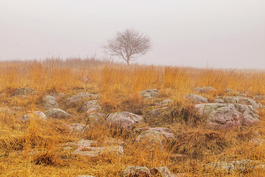 Foggy Prairie Photograph