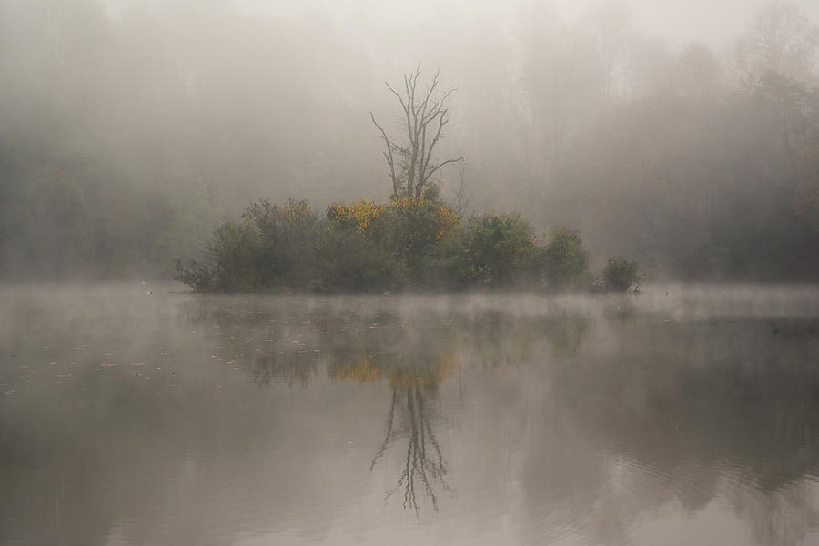 Foggy Reflection on Cove Lake Photograph by Martina Abreu