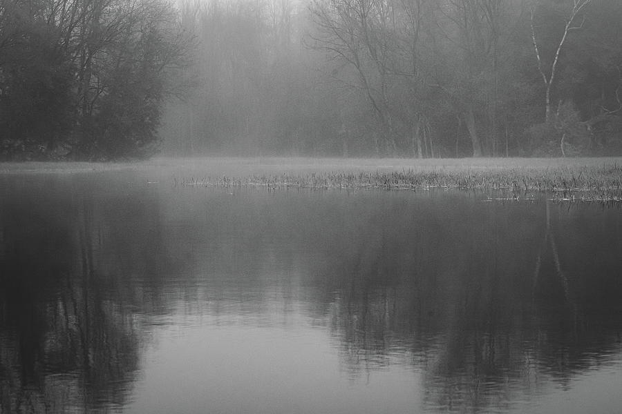 Foggy Reflections Photograph by David Heilman