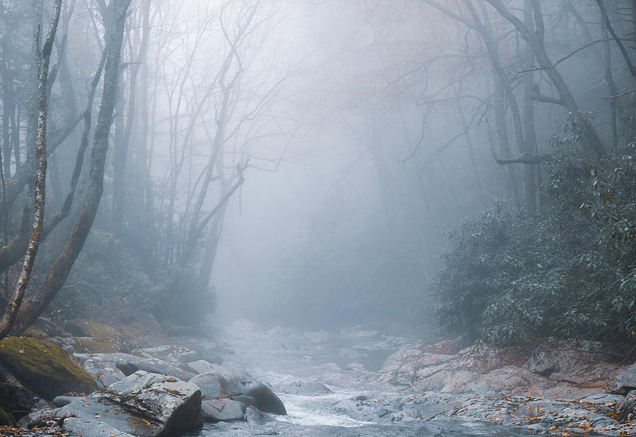 Foggy River Through The Smokies Photograph by Dan Sproul