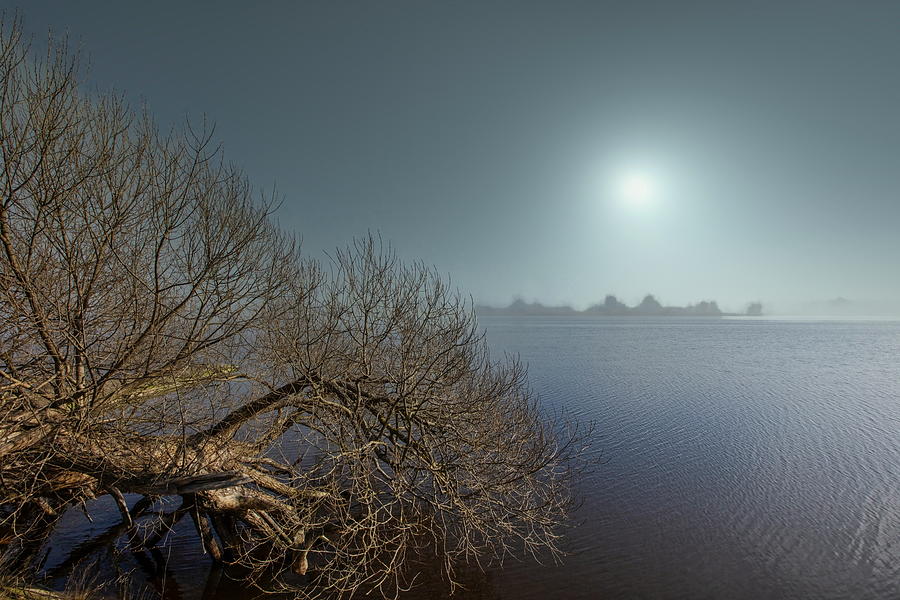 Foggy Riverside Jurmala   Photograph by Aleksandrs Drozdovs