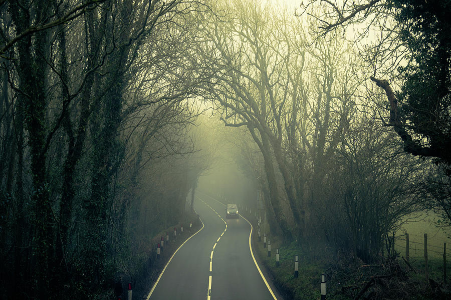 Foggy Road Ahead Photograph by Chris Lord