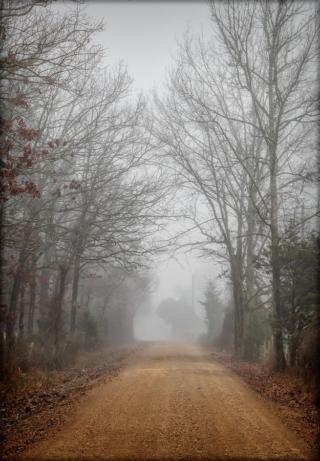 Foggy Roads Photograph by Elaine Malott