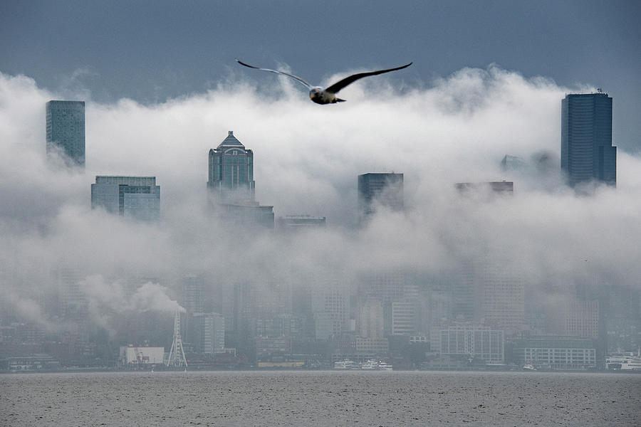 Foggy Seattle Cityscape Photograph by Matt McDonald