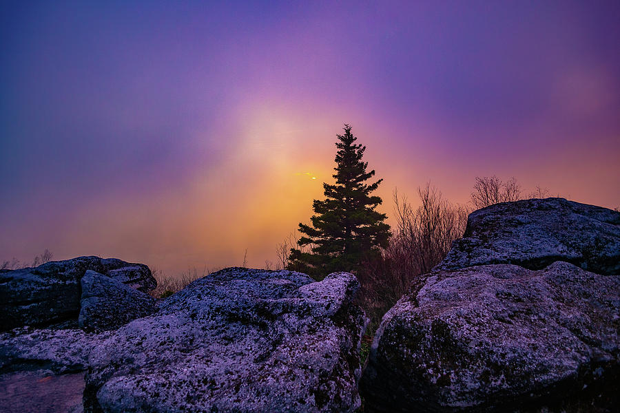 Foggy Sunrise at Bear Rocks Photograph by Jason Funk