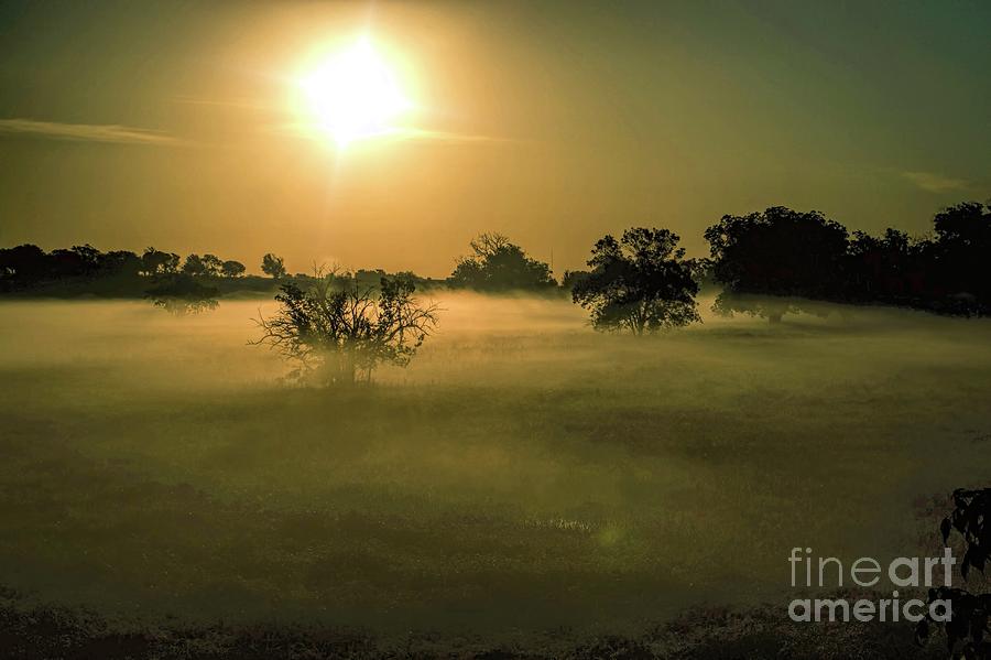 Fog Photograph - Foggy Sunrise by Diana Mary Sharpton