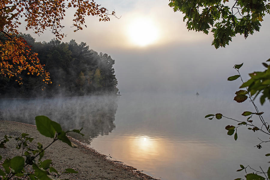 Foggy Sunrise on Walden Pond Concord Massachusetts Photograph by Toby McGuire