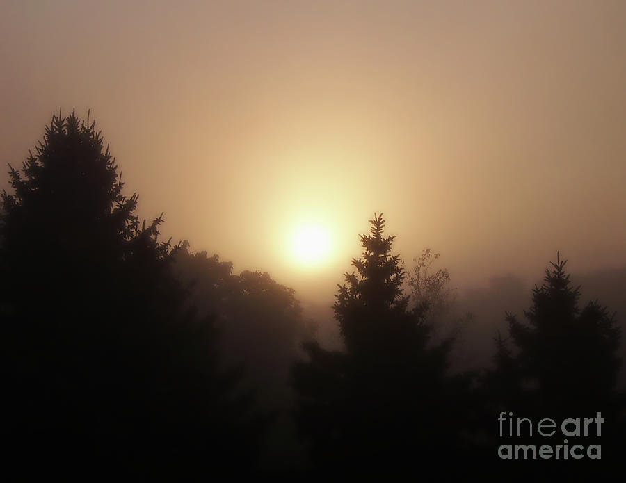 Foggy Sunrise Photograph by Phil Perkins