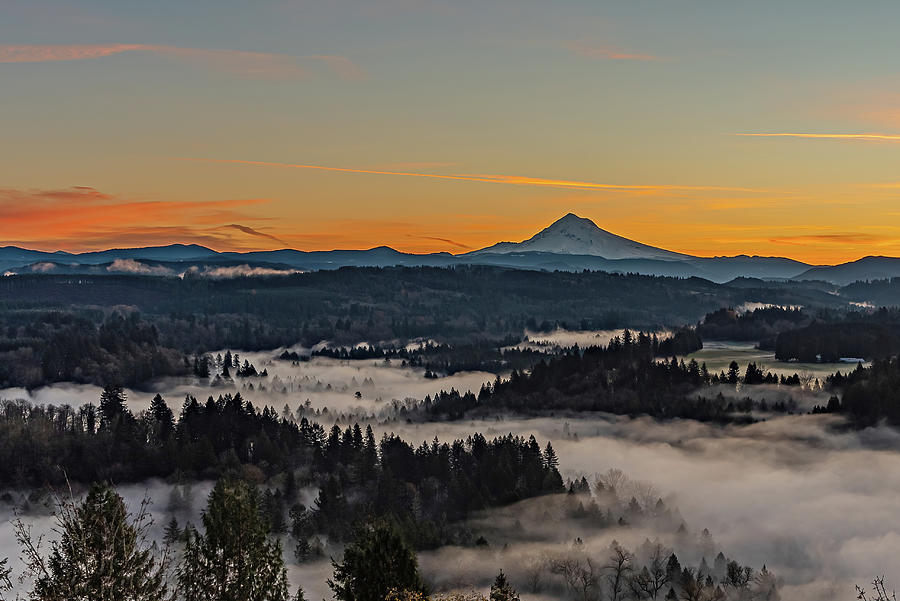 Foggy Sunrise, Photograph by Ulrich Burkhalter