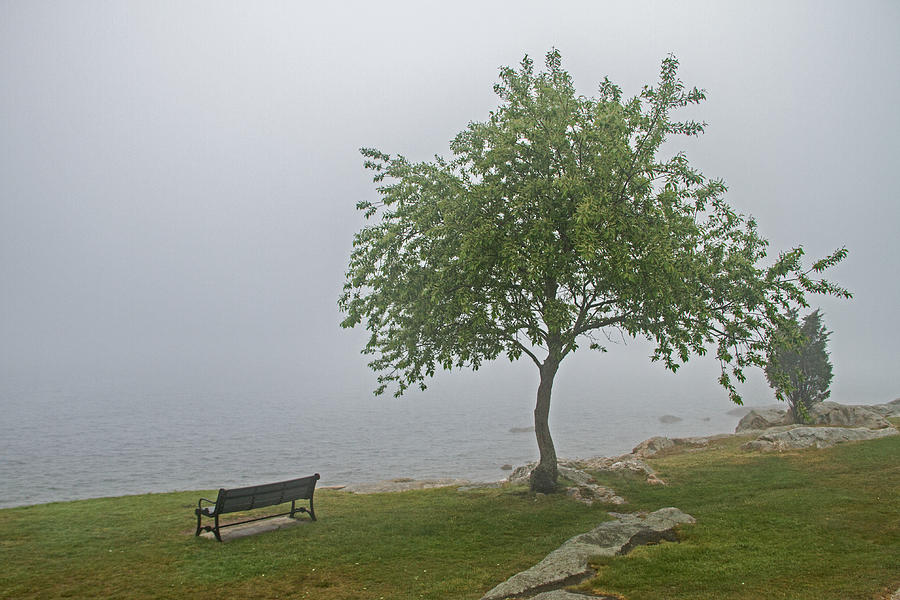 Foggy view Photograph by Nautical Chartworks