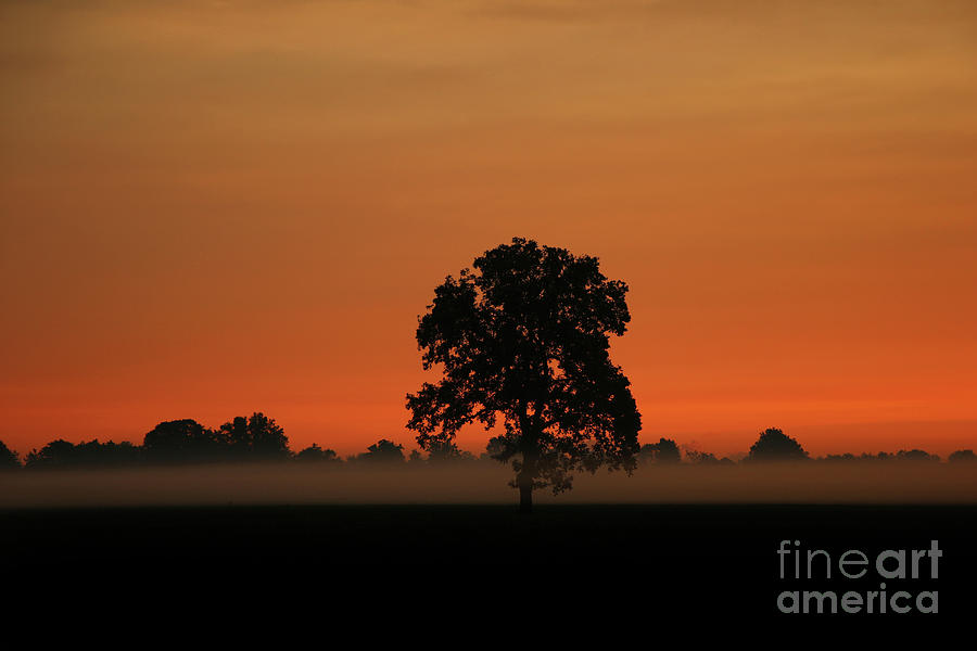 Foggy Waterville Sunrise 9.06.2020 2716 Photograph by Jack Schultz