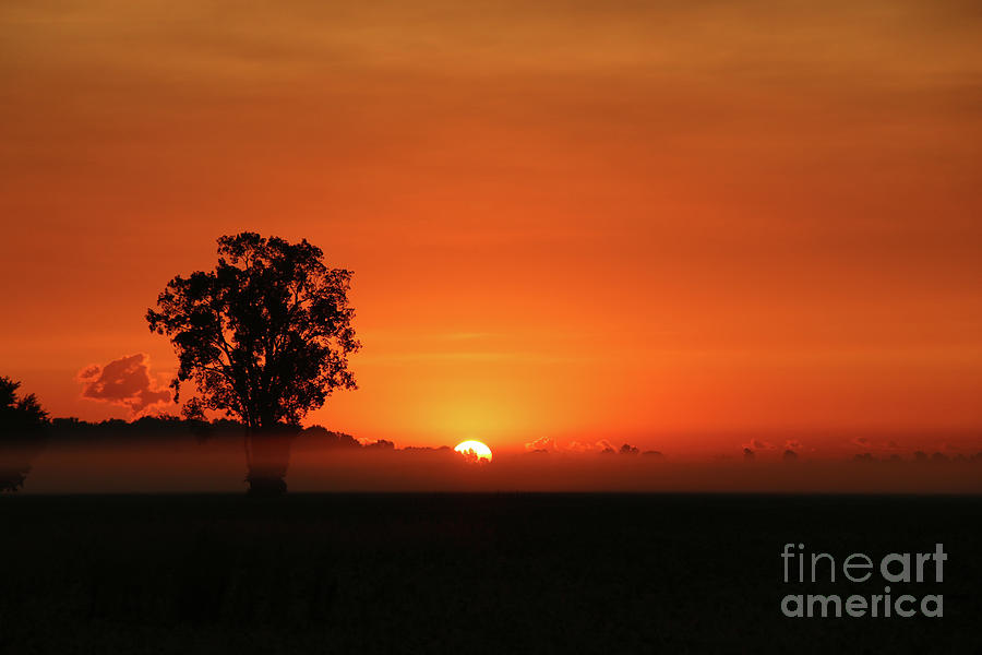 Foggy Waterville Sunrise 9.06.2020  2724 Photograph by Jack Schultz
