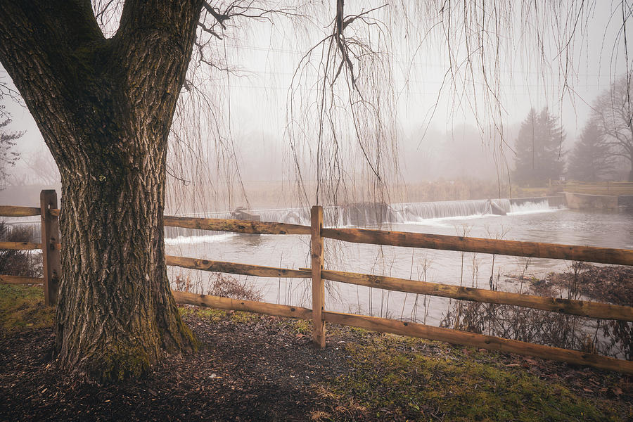Foggy Wehrs Dam From Under the Weeping Willow Photograph by Jason Fink